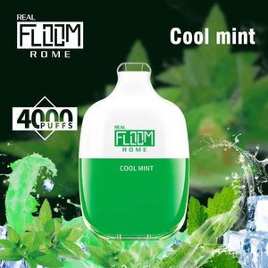 Floom Rome Disposable Cool Mint