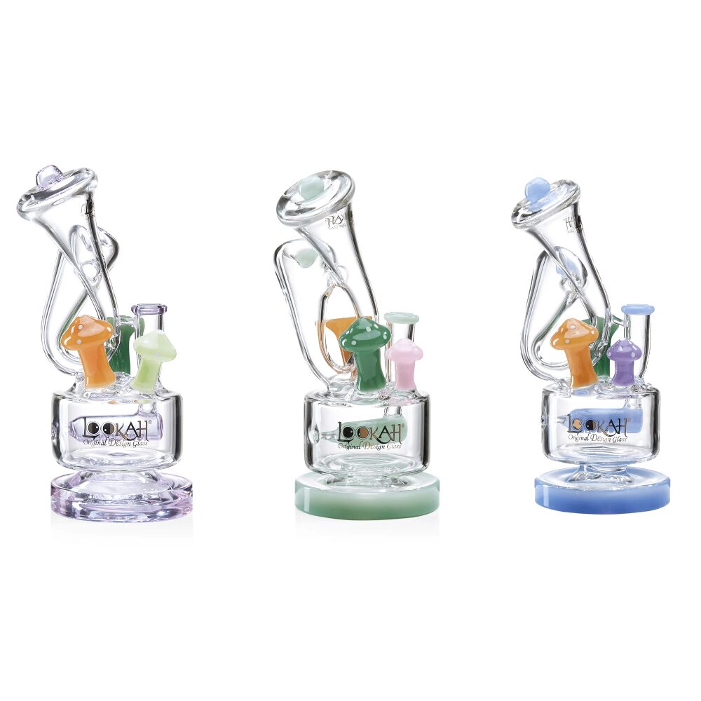 Lookah (Dab Rig) 9” Cute Recycler Fairy Mushroom Water Pipe Group Photo