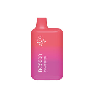 BC5000 (Non Branded EBDESIGN) Disposable | 5000 Puffs | 9.5mL | 4-5% Peach Berry