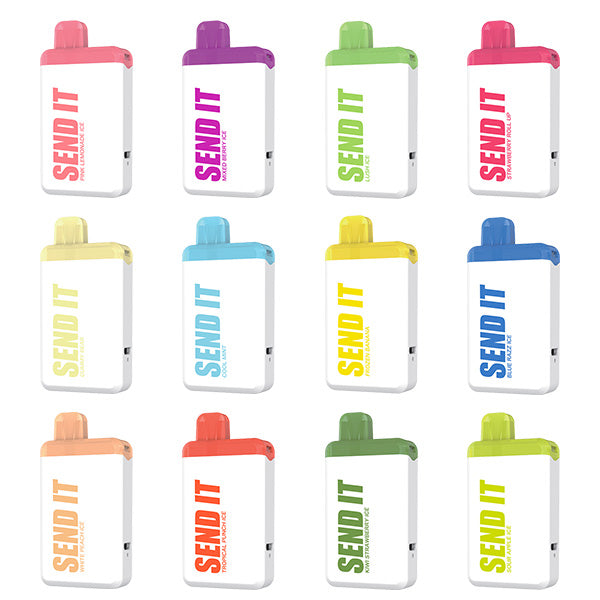 SEND IT Disposable | 5000 Puffs | 12mL Group Photo