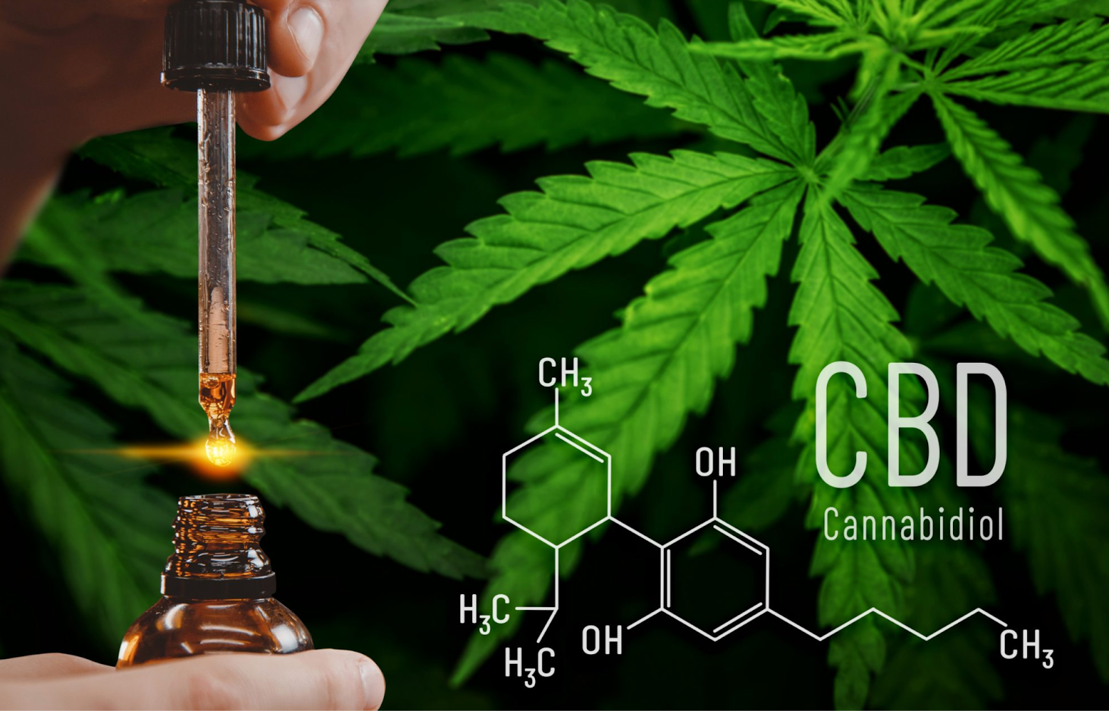 The Science of CBD: How It Works and Why It's Gaining Popularity