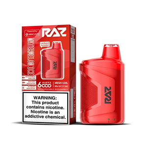 RAZ CA6000 6000 Puffs 10mL 50mg Disposable Watermelon Ice with packaging