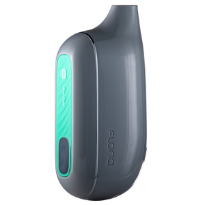FLONQ Max Smart Disposable | 20MG Mint Chill