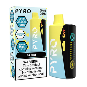 Pyro Boost Disposable CA Mint with packaging