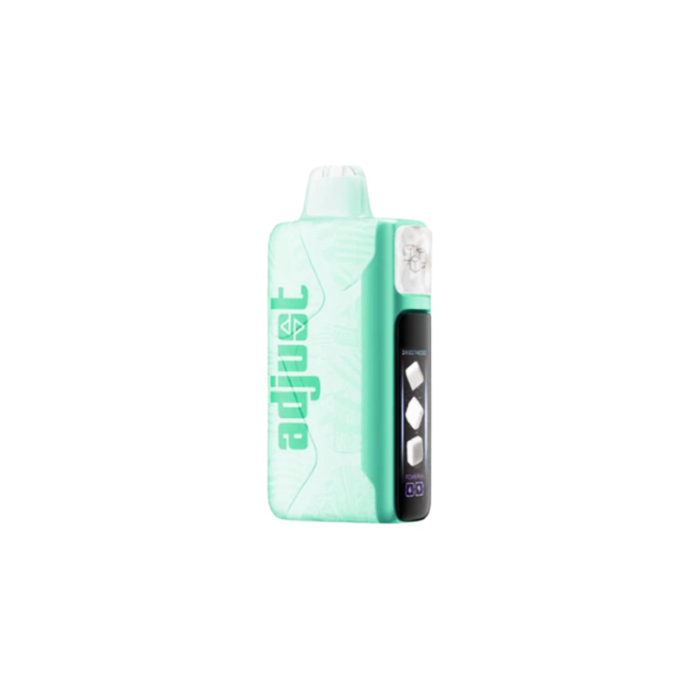 Adjust MyCool E-Cig Disposable 40000 Puff 20mL 50mg Wintergreen Savers