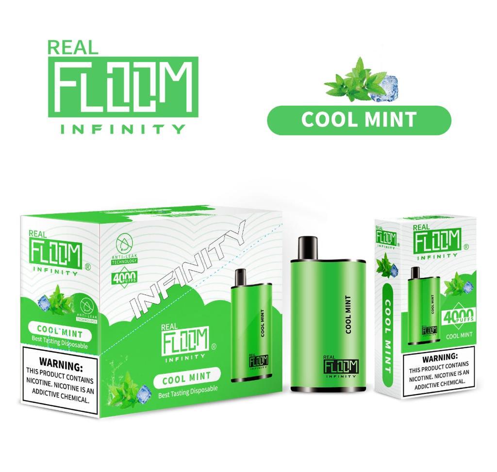 Floom Infinity Disposable | 4000 Puffs | 10mL Cool Mint with Packaging and Box