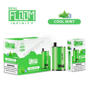 Floom Infinity Disposable | 4000 Puffs | 10mL Cool Mint with Packaging and Box
