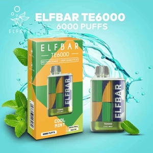 Elf Bar TE6000 Disposable Cool Mint with Packaging