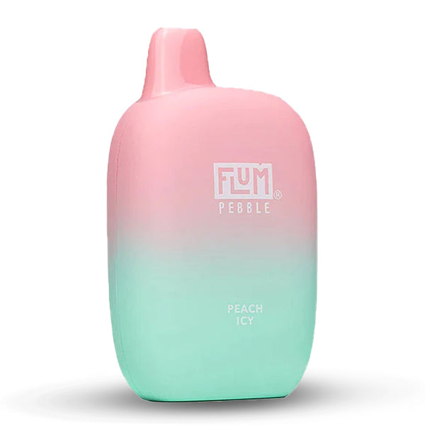 Flum Pebble Vape Disposable 6000 Puffs – EJV Distro