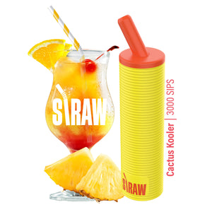 Straw Vape Disposable | 3000 Puffs | 8mL Cactus Kooler
