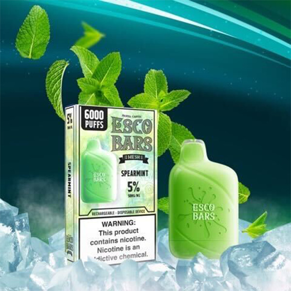 Esco Bars Mesh Disposable | 6000 Puffs | 15mL | 5% Spearmint with Packaging